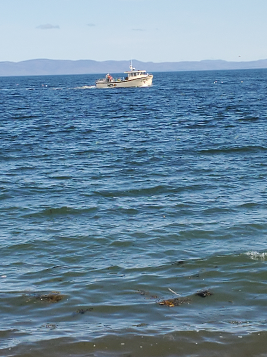 Belledune / ExploreNB / Tourism New Brunswick